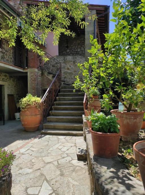 Ferienwohnung Petreto Il Giardino Dei Limoni Castiglion Fiorentino Exterior foto