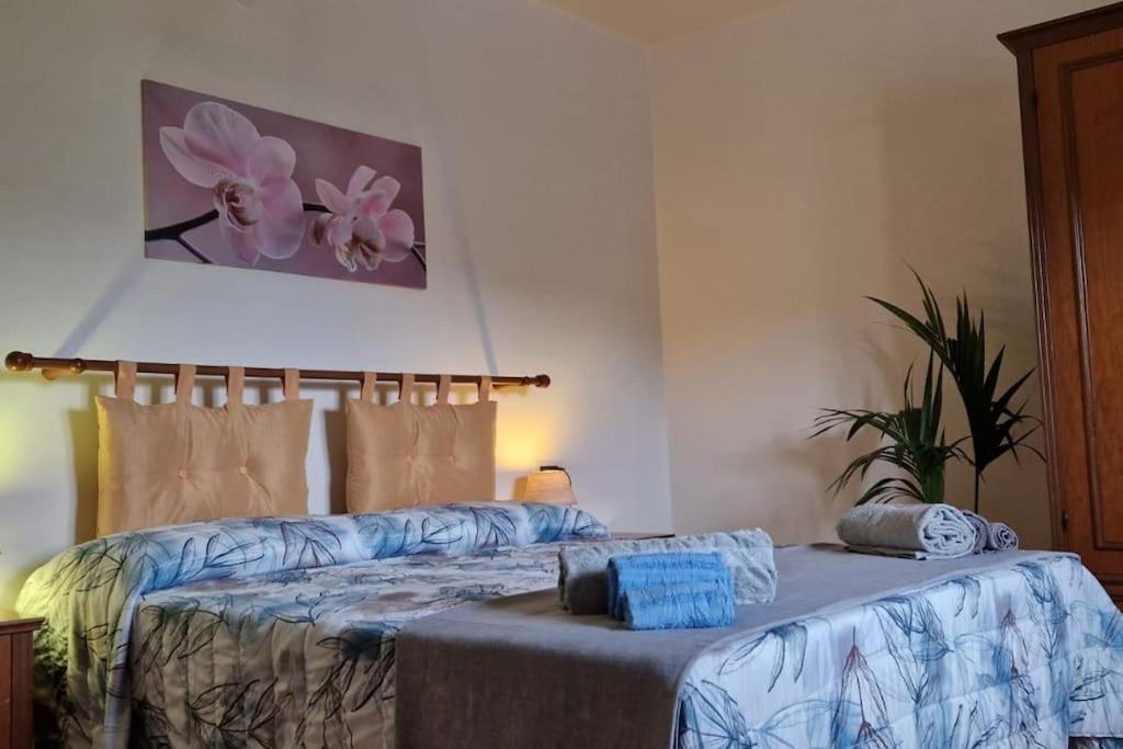 Ferienwohnung Petreto Il Giardino Dei Limoni Castiglion Fiorentino Exterior foto