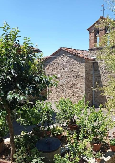 Ferienwohnung Petreto Il Giardino Dei Limoni Castiglion Fiorentino Exterior foto